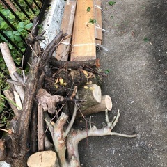 薪 原木 あげます 無料の画像