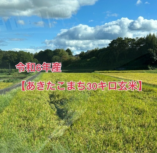 令和6年産【あきたこまち30キロ玄米】