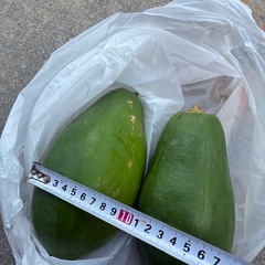 本日限定！早い方の画像