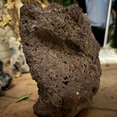 ②アクアリウム 溶岩石の画像