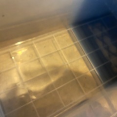 ショーケース　押入れ　衣替え　の画像