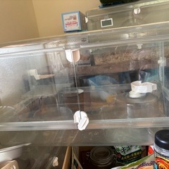 グラスハーモニー   ハムスターゲージの画像