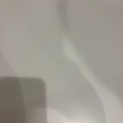 テーブル　白　丸テーブル　キズ有りの画像