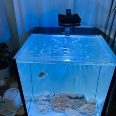 海水のセットの画像