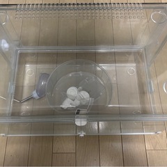 ジェックス
グラスハーモニー450プラス ガラス製クリアケージ ハムスター・小動物用 W46.8×D31×H28.2cmの画像