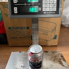 ロックペイントマイコンスケールの画像
