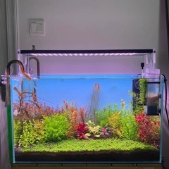 水草水槽ライトの画像
