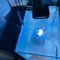 海水のセットの画像
