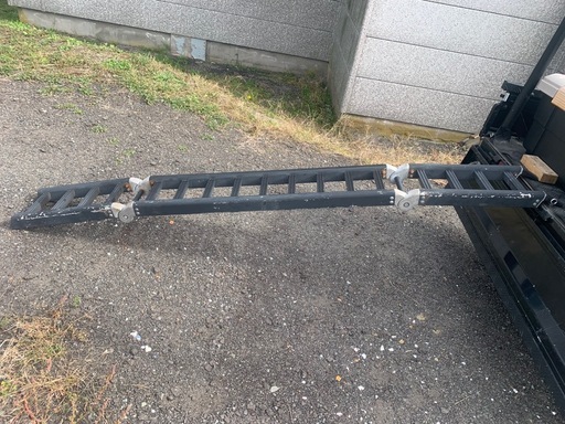 ダートフリーク ラダー