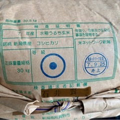 新米 コシヒカリ玄米30kg一等阿賀野市産
の画像