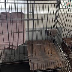 キャットケージの画像