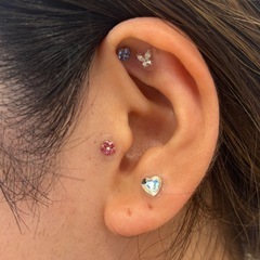 耳ツボ講座👂特別価格でご案内中🌟の画像