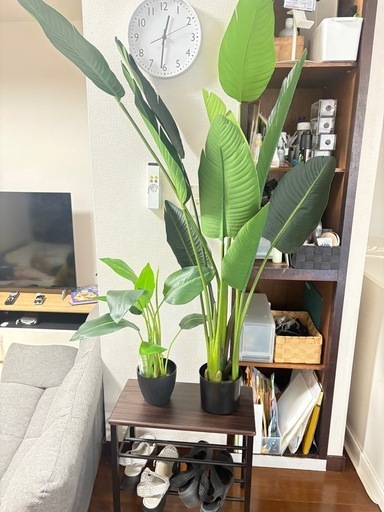 フェイクプラント　人工観葉植物　造花 フェイク　観葉植物