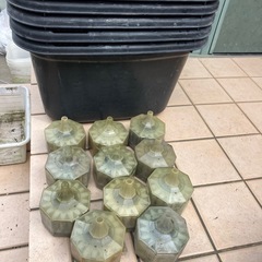 メダカ　　容器　60リットル　チャームの画像