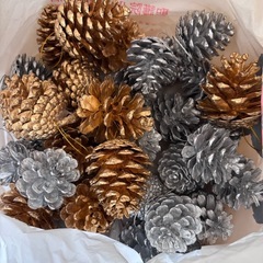 クリスマスツリー の画像
