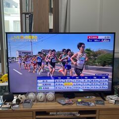 [10月19日迄] アイリスオーヤマ 43UB10PC 43V型 4K テレビ／W チューナー・録画対応／2022年モデルの画像