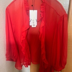 【新品　未着用】 ザラ　シースルーブラウスの画像