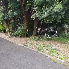 駐車場　5500円　敷金　礼金礼金なし　普通車　軽自動車