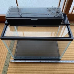 小型水槽の画像