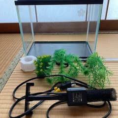 小型水槽の画像