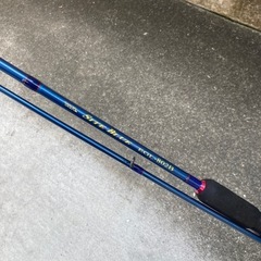 エギングロッドの画像