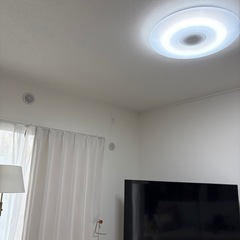 ⭐️半額にしました⭐️【KOIZUMI】LEDシーリングライト　の画像