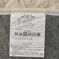 ニトリのラグ
の画像