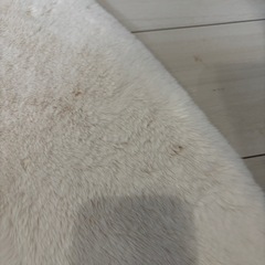 ニトリのラグ
の画像