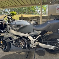 ヤマハ XSR900 GP 令和7年1月の画像