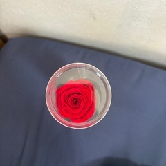 一輪のバラ　ブリザードフラワーの画像