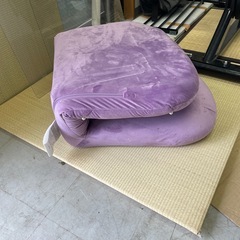 パールザイス 座椅子の画像