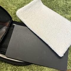 【リユース☆エコちょっぷ】アイリスオーヤマ　ペットキャリーの画像