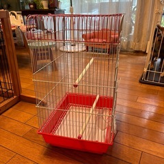 鳥かご
の画像
