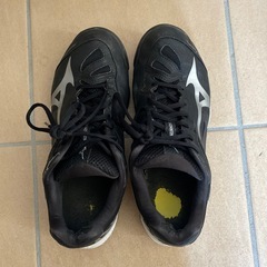 MIZUNO シューズ 靴の画像