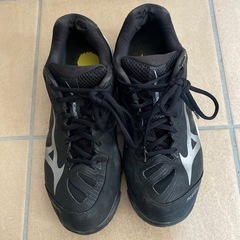 MIZUNO シューズ 靴の画像
