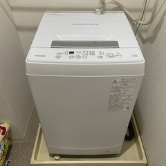 TOSHIBA 洗濯機　2022年製　　
の画像