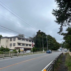 薪にできる樹木の画像