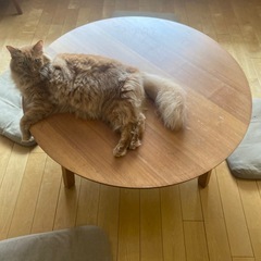 IKEA ローテーブルの画像