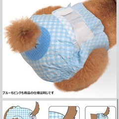 【未開封】ペット用おむつ　SSサイズ32枚入りの画像