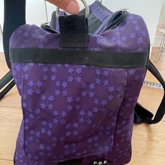 ペットキャリーバッグの画像