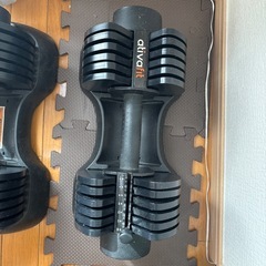 ATIVAFIT ダンベル 可変式　2個セットの画像