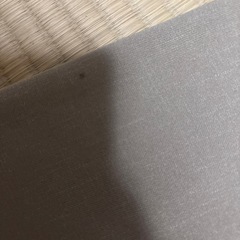 レディースズボンですの画像