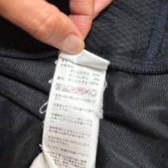 マムート　フリース　メンズの画像