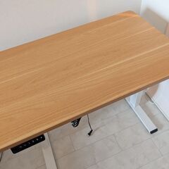 FLEXISPOT 昇降式テーブル　天板100×60cmの画像