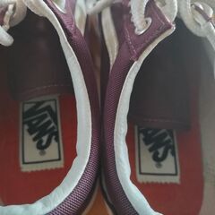 VANSの画像