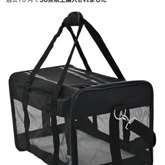 Amazonベーシックキャリーバッグの画像