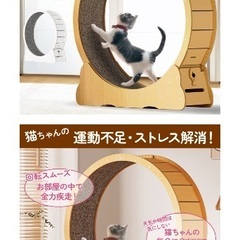 猫用　Ciaobot（チャオボット）キャットホイール 猫 ランニングホイール ランニングマシン 大型 90cm Mサイズの画像