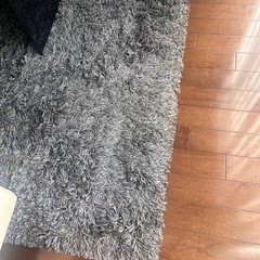 170cm x 250cm ラグの画像