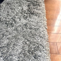 170cm x 250cm ラグの画像
