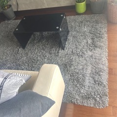170cm x 250cm ラグの画像